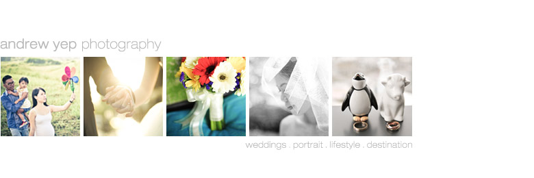 Andrew Yep Photography | Destination Wedding and Portrait Photography